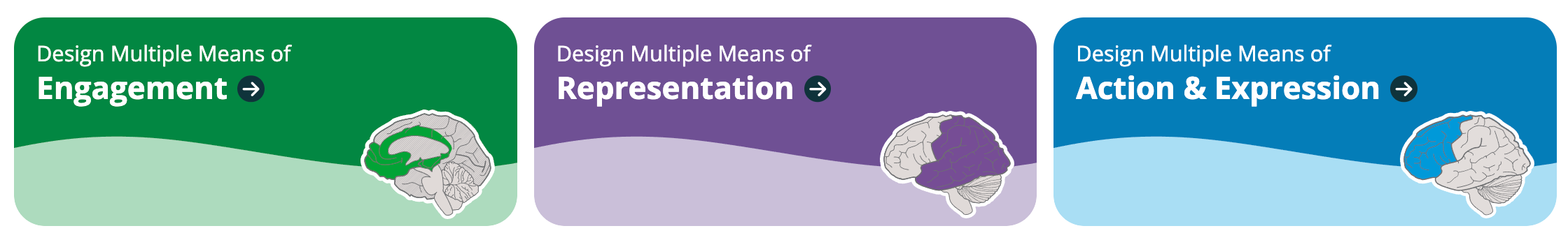 image of udl guide header