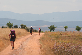 Camino Walk